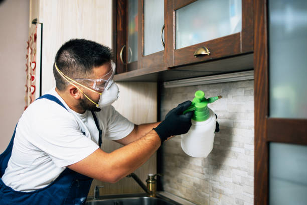 Best Pest Removal Services  in New Castle, PA