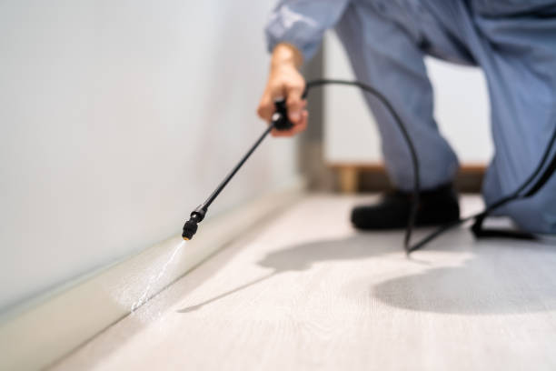 Best Pest Control for Businesses  in New Castle, PA