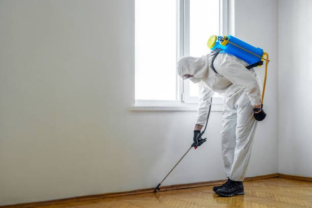 Pest Prevention Services in New Castle, PA