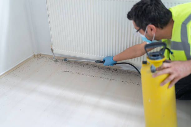 Reliable New Castle, PA Pest Control Solutions
